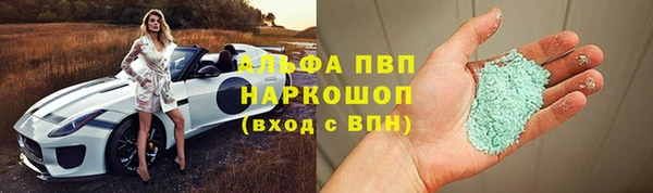 ГАЛЛЮЦИНОГЕННЫЕ ГРИБЫ Богданович