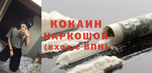 ГАЛЛЮЦИНОГЕННЫЕ ГРИБЫ Богданович