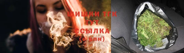 ГАЛЛЮЦИНОГЕННЫЕ ГРИБЫ Богданович