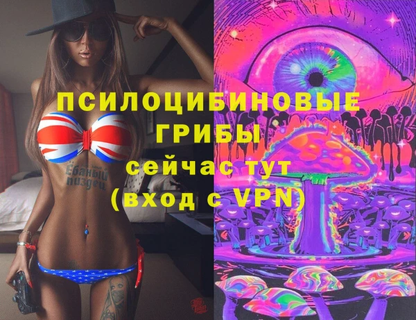 герыч Богородск