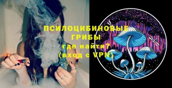 скорость Богородицк