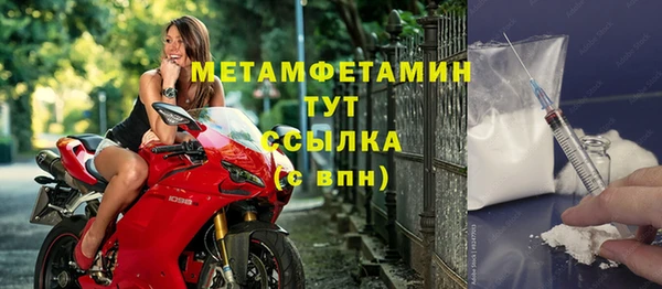 ГАЛЛЮЦИНОГЕННЫЕ ГРИБЫ Богданович
