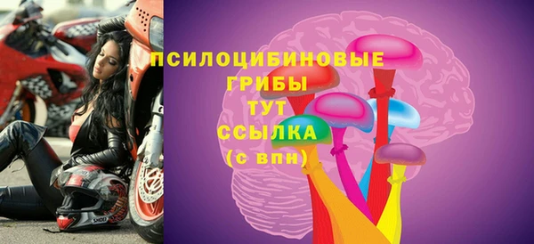 ГАЛЛЮЦИНОГЕННЫЕ ГРИБЫ Богданович