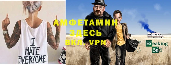 ГАЛЛЮЦИНОГЕННЫЕ ГРИБЫ Богданович